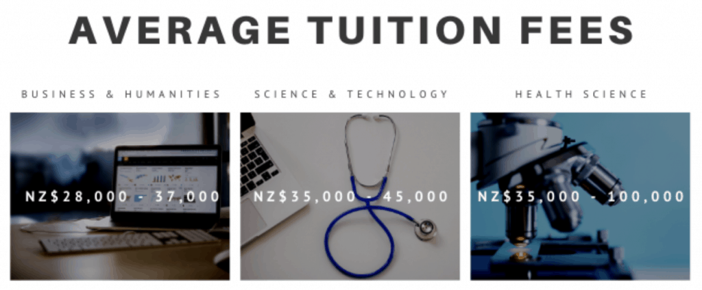 education overseas new zealand