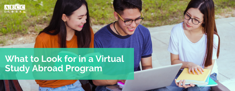 What-to-Look-for-in-a-Virtual-Study-Abroad-Program