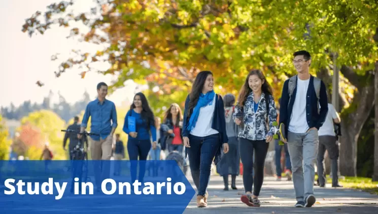 Study in Ontario: A Student Hub