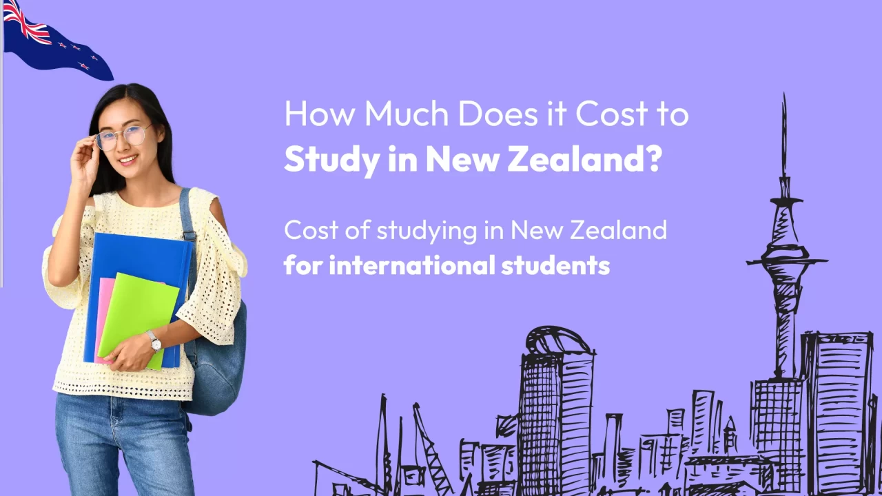 How Much Does it Cost to Study in New Zealand?